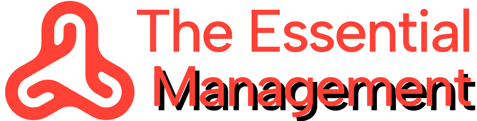 Theessential Management